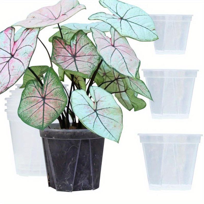 CLEARSPROUT SET – Transparent Pots for Easy Root Monitoring and Healthy Plant Growth