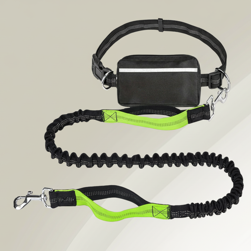 StrideBuddy - Hands-Free Dog Leash with Shock Absorption for Ultimate Control 13