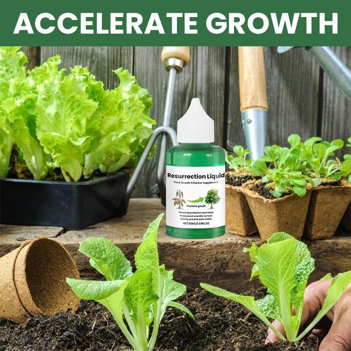 BOTANOVA – Plant Care Solution for Renewed Vitality and Fresh Growth