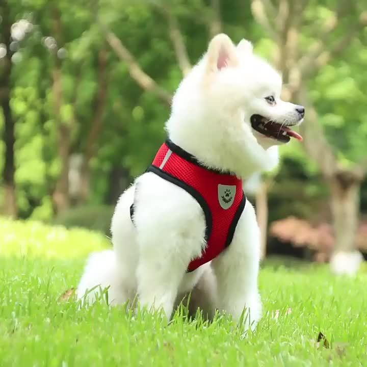 NIGHTWALK - Reflective Pet Vest with Leash for Dogs and Cats
