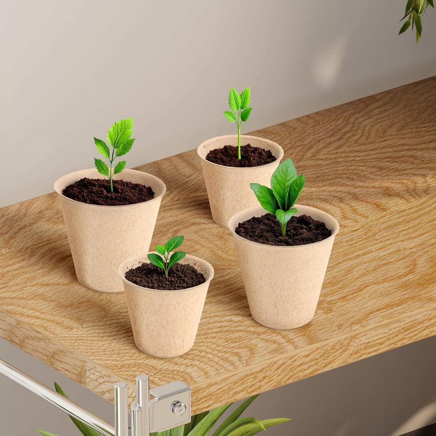 ECOPEAT POTS – Biodegradable Seed Starter Pots for Easy Transplanting