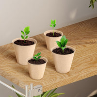 ECOPEAT POTS – Biodegradable Seed Starter Pots for Easy Transplanting