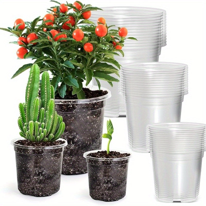 ROOTVIEW SET – 15 pack Transparent Seedling Pots for Easy Root Monitoring and Growth