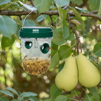 HORNETGUARD – Solar-Powered Outdoor Wasp Trap Set