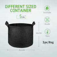 TOMABOX – Structured Tomato Growing & Large Capacity Support