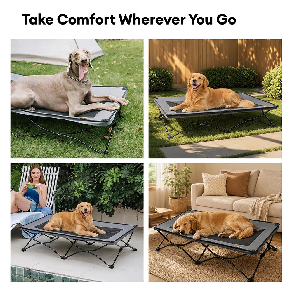 ROAMNEST – Portable Raised Pet Bed for Active Lifestyles
