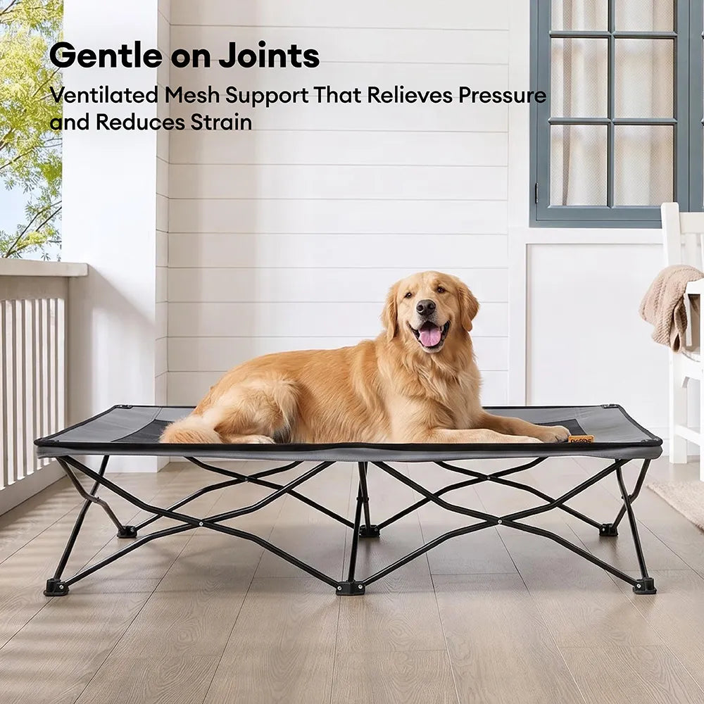 ROAMNEST – Portable Raised Pet Bed for Active Lifestyles