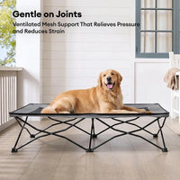 ROAMNEST – Portable Raised Pet Bed for Active Lifestyles