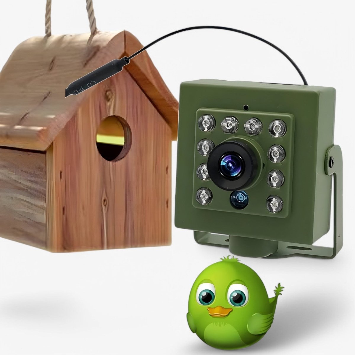 1080p HD Wildlife Camera with Night Vision, AI Motion Detection & Weatherproof Design 1