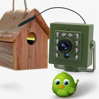 1080p HD Wildlife Camera with Night Vision, AI Motion Detection & Weatherproof Design 1