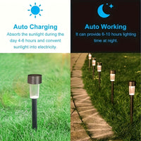 SUNELARA - Warm Ambient Solar Pathway Stake Lights for Courtyard & Lawn 12pcs