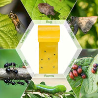 BUGSTRIP – Sticky Outdoor Insect Barrier Tape