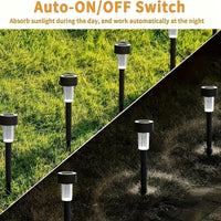 SUNELARA - Warm Ambient Solar Pathway Stake Lights for Courtyard & Lawn 12pcs