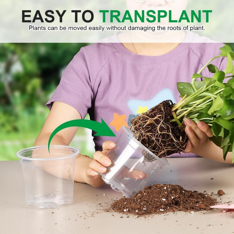 ROOTCLEAR SET – 20 Pack Transparent Nursery Pots for Easy Root Monitoring