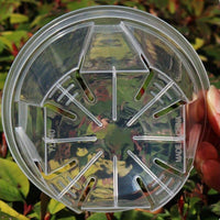 CLEARSPROUT SET – Transparent Pots for Easy Root Monitoring and Healthy Plant Growth