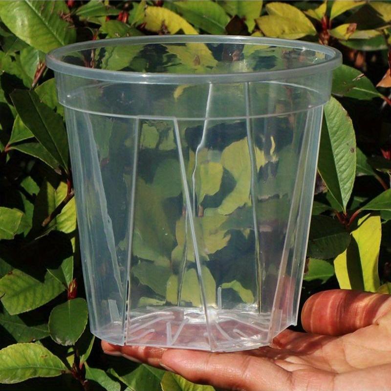 CLEARSPROUT SET – Transparent Pots for Easy Root Monitoring and Healthy Plant Growth