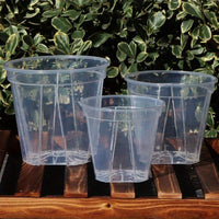 CLEARSPROUT SET – Transparent Pots for Easy Root Monitoring and Healthy Plant Growth