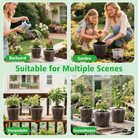 CLEARROOT SET – Transparent Nursery Pots for Easy Root Monitoring