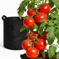 ROOTBAG – Breathable Fabric Grow Bag for Stronger Roots and Healthier Plants