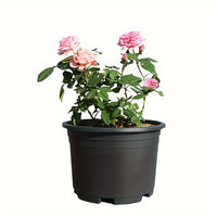ROOTFLOW POT – Breathable Planter for Stronger Roots and Healthy Growth