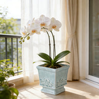 CERABOX – Vintage Ceramic Planter for Elegant Indoor Plant Display