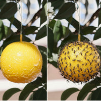 FLYORB – Sticky Fruit Fly Trap Balls Set