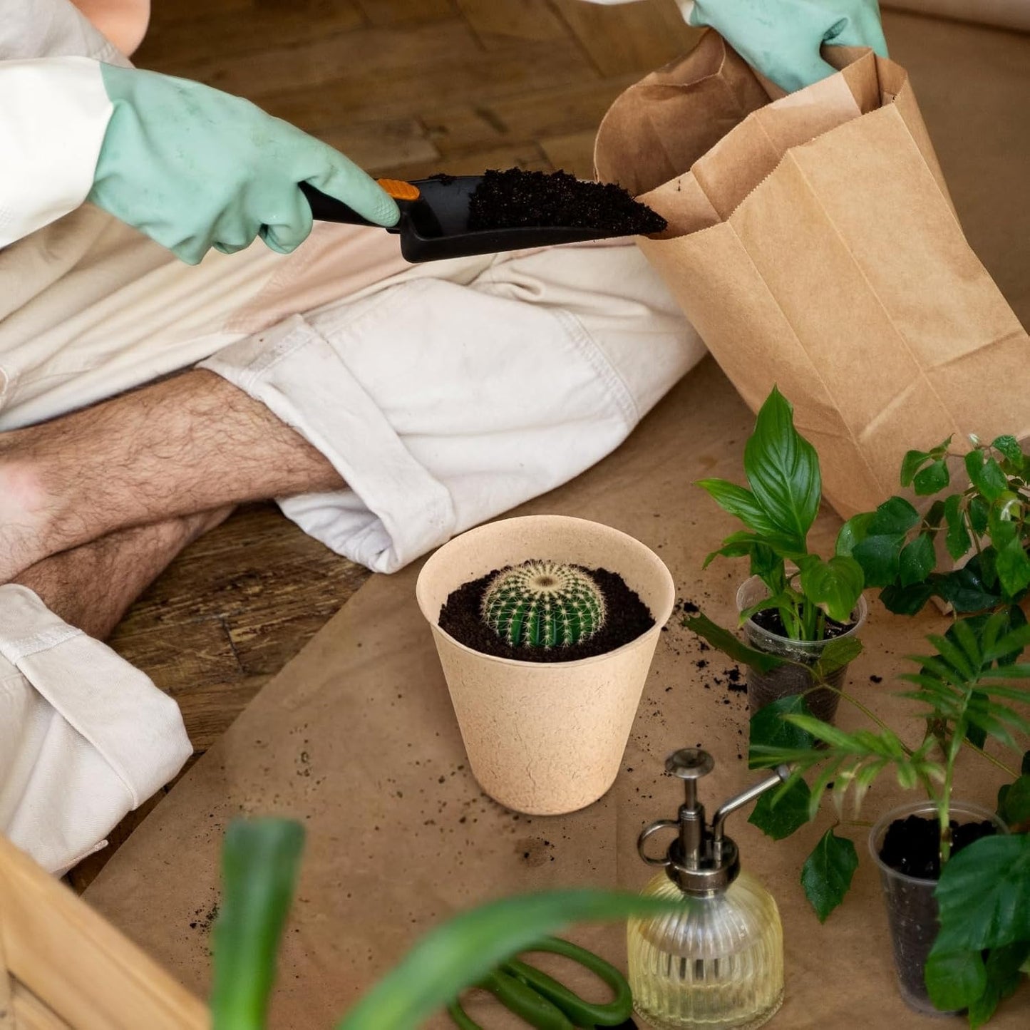ECOPEAT POTS – Biodegradable Seed Starter Pots for Easy Transplanting