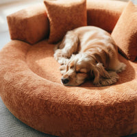 DREAMTAIL – Donut Pet Bed with Pillow for Everyday Comfort