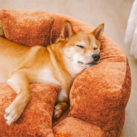 DREAMTAIL – Donut Pet Bed with Pillow for Everyday Comfort