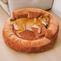 DREAMTAIL – Donut Pet Bed with Pillow for Everyday Comfort