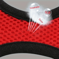 NIGHTWALK - Reflective Pet Vest with Leash for Dogs and Cats
