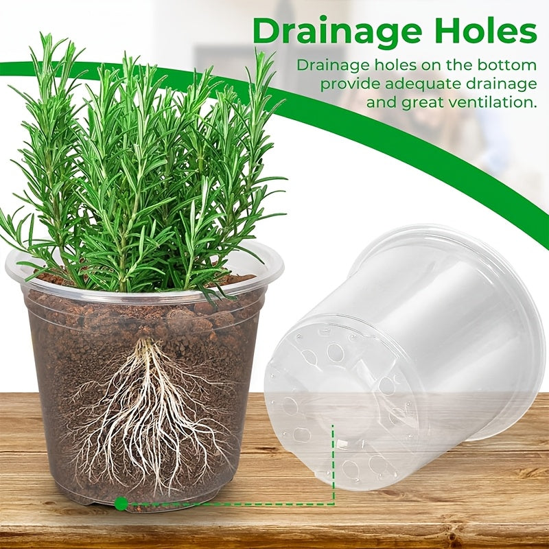 CLEARROOT SET – Transparent Nursery Pots for Easy Root Monitoring