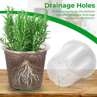 CLEARROOT SET – Transparent Nursery Pots for Easy Root Monitoring