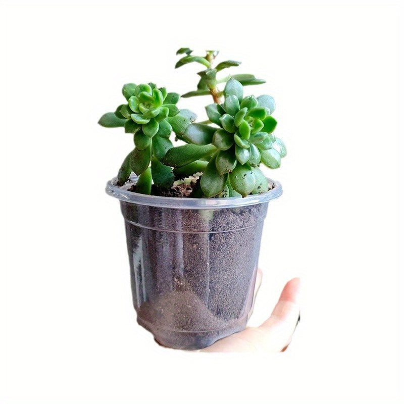 ROOTVIEW SET – 15 pack Transparent Seedling Pots for Easy Root Monitoring and Growth