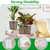 CLEARROOT SET – Transparent Nursery Pots for Easy Root Monitoring