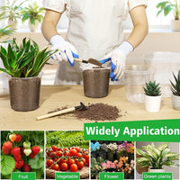 CLEARROOT SET – Transparent Nursery Pots for Easy Root Monitoring