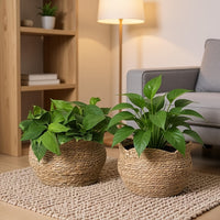RATTANPOT – Handwoven Scandinavian Planter for Natural Boho Plant Decor