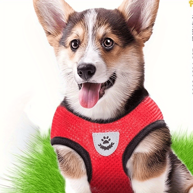 NIGHTWALK - Reflective Pet Vest with Leash for Dogs and Cats