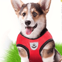 NIGHTWALK - Reflective Pet Vest with Leash for Dogs and Cats