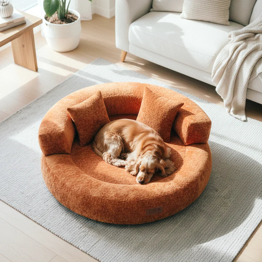 DREAMTAIL – Donut Pet Bed with Pillow for Everyday Comfort