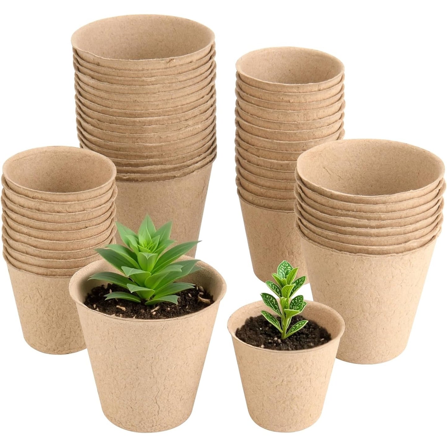 ECOPEAT POTS – Biodegradable Seed Starter Pots for Easy Transplanting