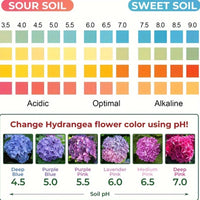 SOILCHECK – 100 Soil pH Test Strips for Accurate Garden & Lawn Care