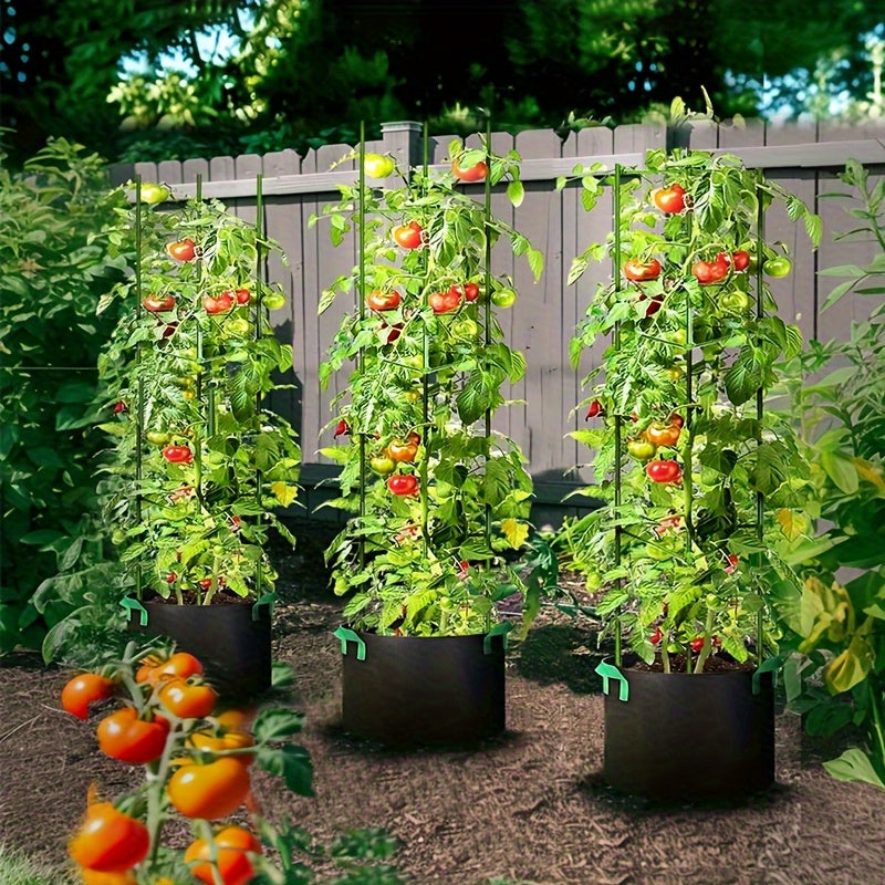 TOMABOX – Structured Tomato Growing & Large Capacity Support