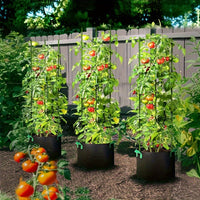 TOMABOX – Structured Tomato Growing & Large Capacity Support