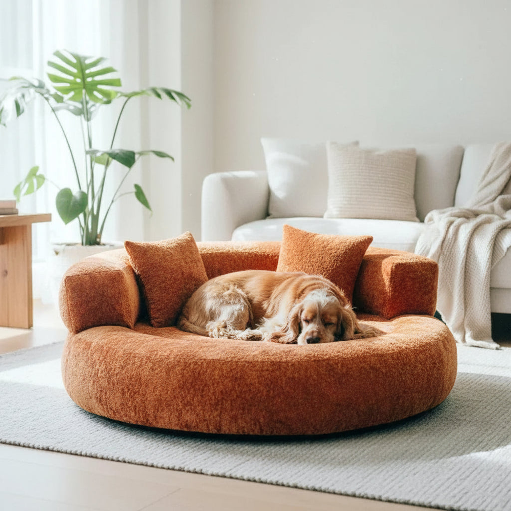 DREAMTAIL – Donut Pet Bed with Pillow for Everyday Comfort