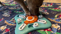 BRAINFETCH PUZZLE – Interactive IQ Slow Feeder for Dogs