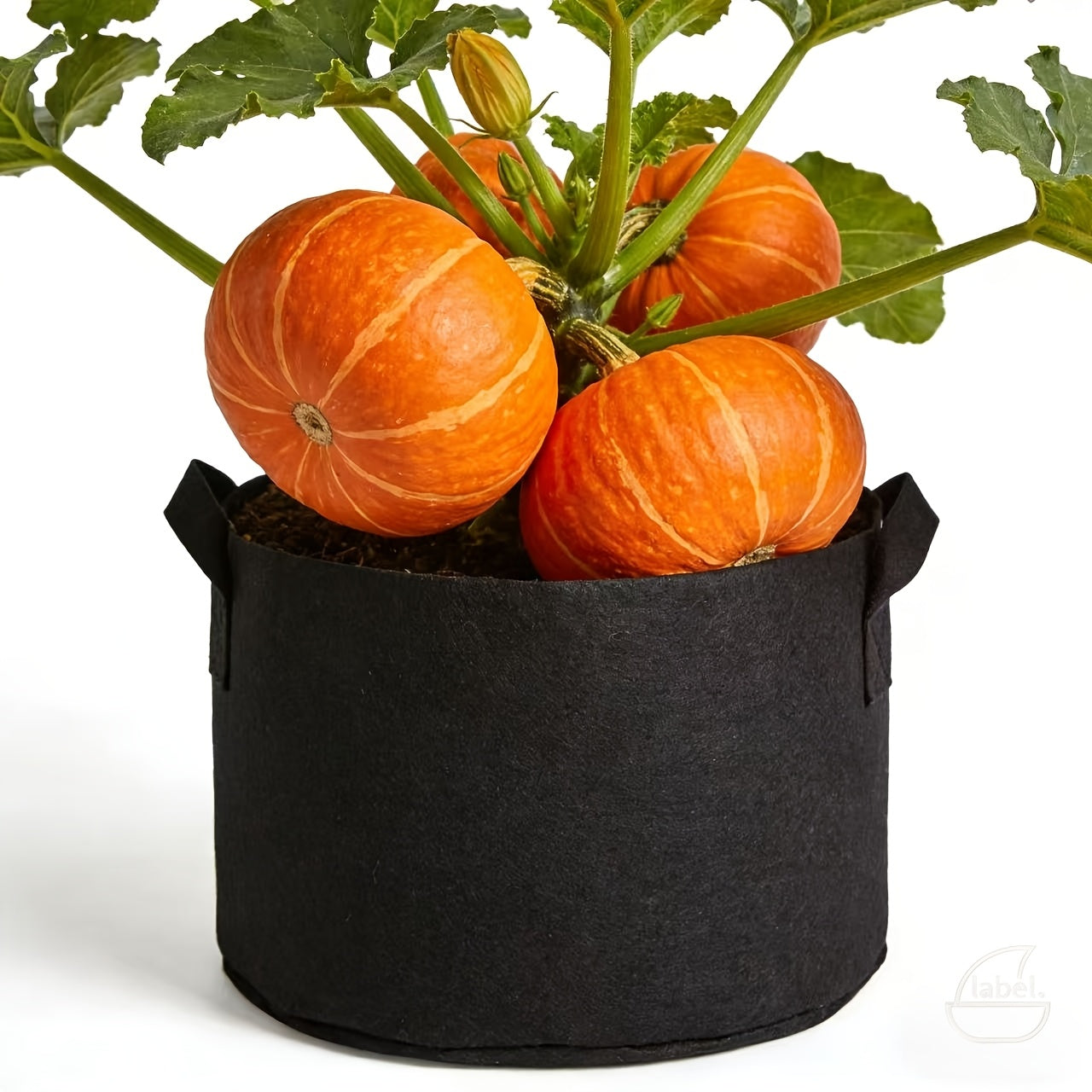 ROOTBAG – Breathable Fabric Grow Bag for Stronger Roots and Healthier Plants