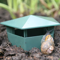SNAILSAFE – Non-Toxic Garden Snail & Slug Trap