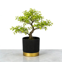 NORDIPOT – Modern Striped Planter for Elegant Indoor Plant Display