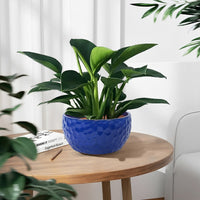 COBALTHAVEN – Vintage Handmade Ceramic Planter Set